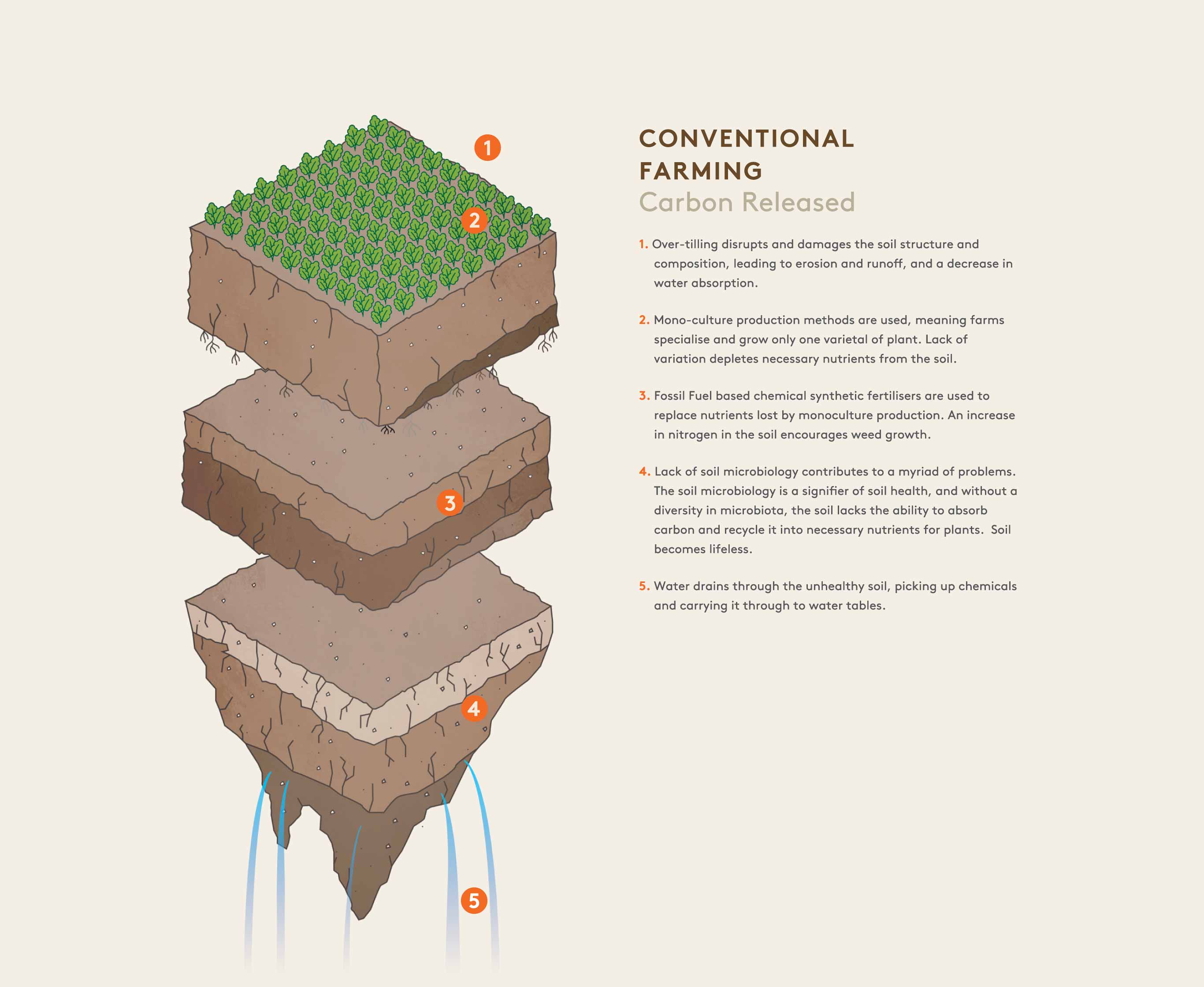 Conventional Soil Condition Comparison