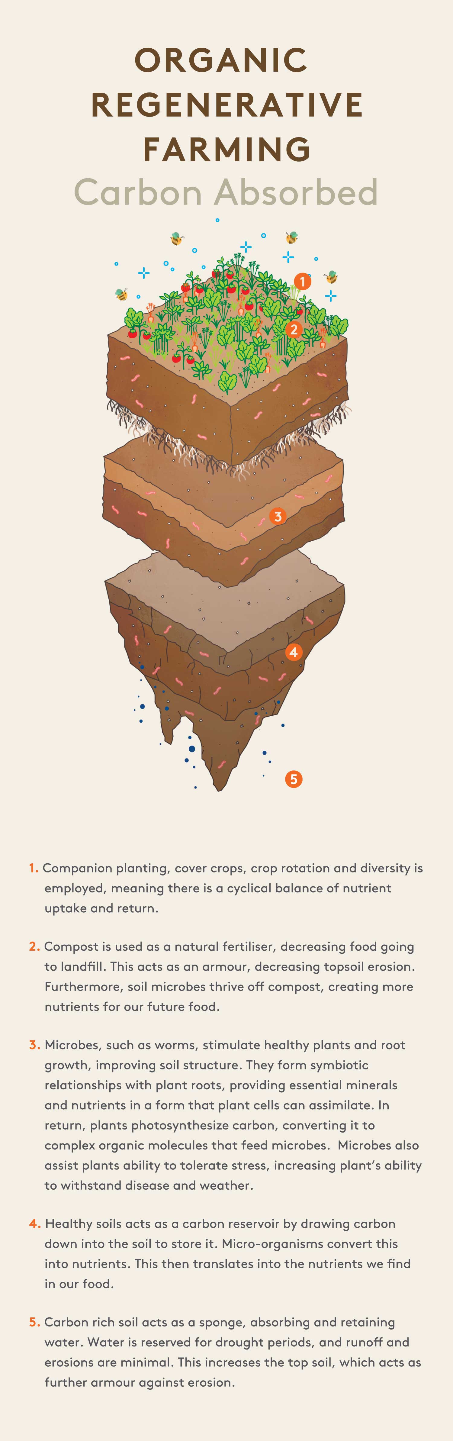 Organic Soil Condition Comparison